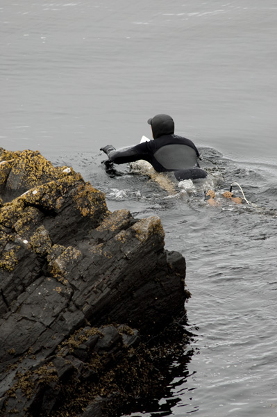 SurfPhotography
