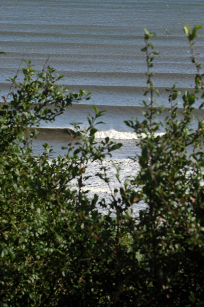 SurfPhotography