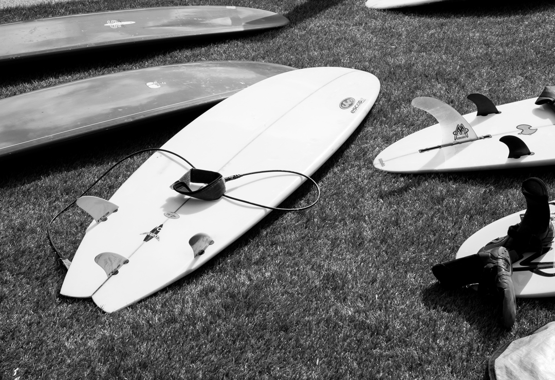 even the fucking grass is fake