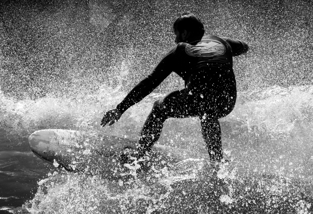 even the fucking grass is fake